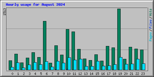 Hourly usage for August 2024
