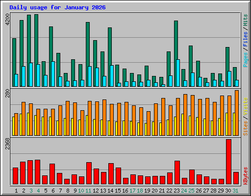 Daily usage for January 2026