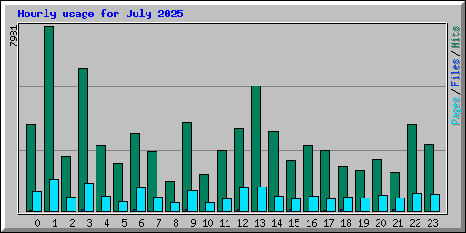 Hourly usage for July 2025