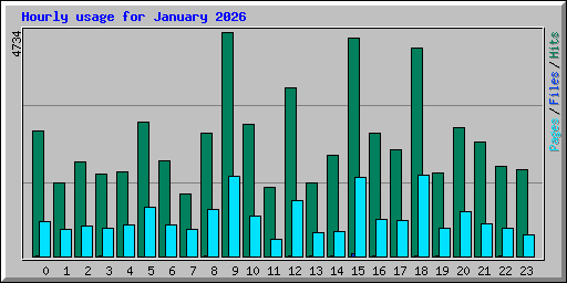 Hourly usage for January 2026